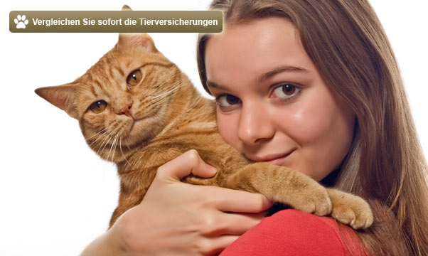 Katzenversicherung
